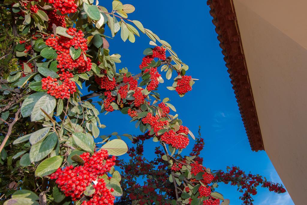 Tu Casa En Barcelona Villa Sant Cugat del Vallès Kamer foto